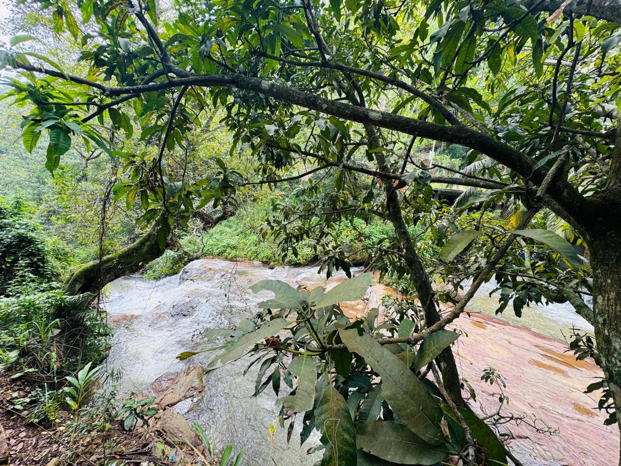 河蝶舞住宿加早餐旅馆 埃拉 外观 照片